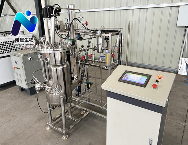 50L實驗室生物發酵罐